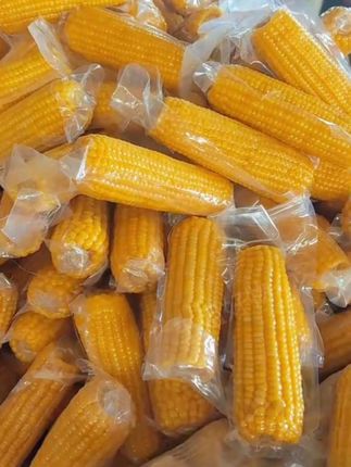 东北黄糯玉米#东北粘玉米 #软糯香甜 #优质农产品 #粗粮 #玉米