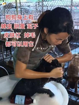 当你无法控制对孩子的发火时,请听听这段话!#育儿经验分享 #家长必读 #亲子教育 #除癞灵