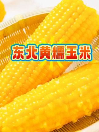 东北黄糯玉米,糯叽叽的口感超棒。#健康食材 #合理饮食 #软糯香甜 #营养丰富