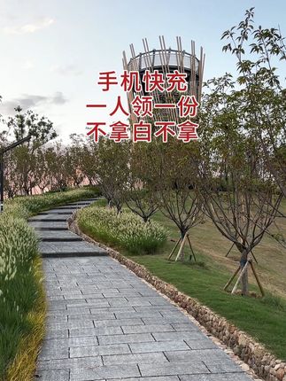 一人领一份#快充 #充电器 #手机快充数据线推荐