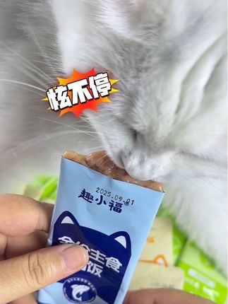 #趣小福 的猫饭简直是猫咪的梦中情饭#趣小福猫饭 #猫零食 #宠物食品 #猫零食推荐