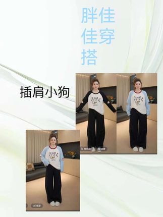 【胖佳佳】插肩小狗 长袖针织衫秋季减龄撞色圆领上衣!两个颜色可选哦
