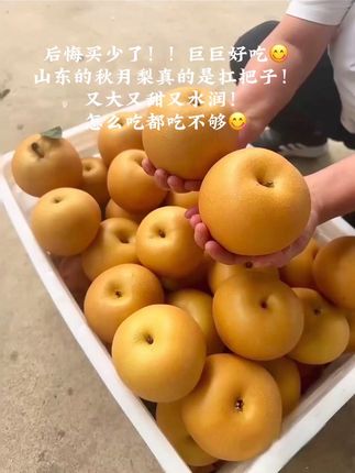 秋月梨上市啦!脆甜多汁,已经回购好几次了,果肉入口化渣,太好吃了,喜欢吃水果的不要错过!#秋月梨 #新鲜采摘 #应季水果 #口感特别好 #优质农产品
