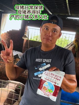 #养猪#养猪人#养猪人加油干#陆川母猪#养猪专业户