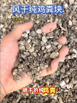 鸡粪 风干纯鸡粪 农家肥