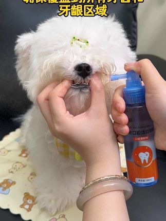 #宠物 #萌宠 #宠物用品 #好物推荐🔥