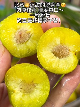 四川的半边红脱骨李,脆甜多汁巨好吃!#脱骨李 #半边红脱骨李 #应季水果 #水果 #夏天的味道