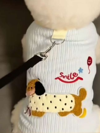 狗狗衣服可爱彩色腊肠狗背心带牵引扣泰迪比熊小型犬猫衣服#宠物#宠物用品#宠物衣服#宠物背心#猫狗通用