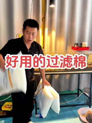 别再天天换水了!这款过滤棉,鱼缸一周清到底!#鱼缸过滤棉#养鱼人 #新手养鱼入门基础教程 #鱼缸过滤 #养鱼日记