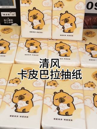 本来也不缺纸的,可这么好看又划算的悬挂抽纸,谁能不动心啊这个价就到手十大提,还是清风和卡皮巴拉的联名款,四层加厚的原生木浆纸,湿水也不易破,嘎嘎厚实!都可以当小湿巾…#好物推荐🔥 #抽纸 #种草 #母婴好物 #纸巾