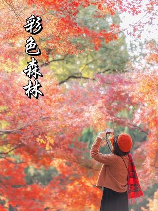 国庆逃离人海,打卡巴南彩色森林树精灵,当一回童话女主#国庆出游 #彩色森林 #树精灵 #亲子游玩好去处 #巴南
