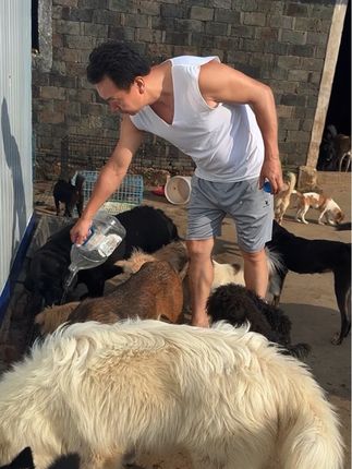 为毛孩子找水的汪哥:每一滴都藏着不放弃的爱#流浪狗救助 #狗狗是人类的朋友 #萌宠