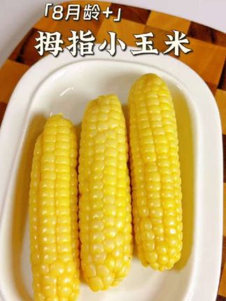 8M+丨拇指小玉米,家里有出牙期的宝宝,可以给他试试8个月宝宝就能吃的拇指玉米。小小一个颗粒饱满,皮薄肉嫩营养丰富!#宝宝辅食#手指食物#拇指玉米 #拇指玉米#8月龄宝宝辅食