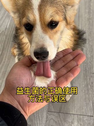 益生菌使用说明,你用对了吗#养狗经验分享 #新手养狗 #狗狗益生菌 #幼犬 #小狗喂养方法