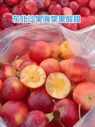 #东北沙果海棠果酸甜脆#