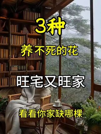 金钻又叫吸毒王,一年四季常绿,不需要晒太阳,有水就能存活,他的寿命比乌龟还要长。花一开,满屋都是高档香水味,养一盆,客厅卧室都能闻到味。他善于吸收空气中的有害物质,俗称天然的空气净化器。九块九发一盆的时候你嫌贵,今天直接给你发两盆,这你总不嫌贵了吧?而且还给你搭配水培的花盆,保持花盆底部有水啊就行。他的叶子四季常绿层层叠叠摆放在家里后,空气清新,好看又好养。#金钻绿公主 #绿公主大叶金钻盆栽 #室内绿植推荐 #绿植推荐 #花卉绿植盆栽