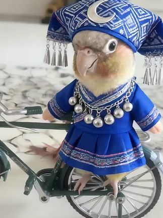 穿下衣服变了个样