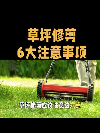 草坪修剪6大注意事项#园林绿化#绿化养护#草坪修剪#草坪
