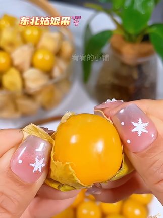 生来自带包装纸的水果你吃过吗?它就是来自东北的姑娘果,也叫“灯笼果”!里面的果肉都是金黄金黄的,吃起来既有芒果的清香,又有车厘子的脆甜,口口爆汁,真的超级好吃!和我一样的南方人或者没吃过的,趁划算一定要尝尝!#姑娘果 #姑娘果灯笼果 #灯笼果 #菇凉果 #新鲜应季水果