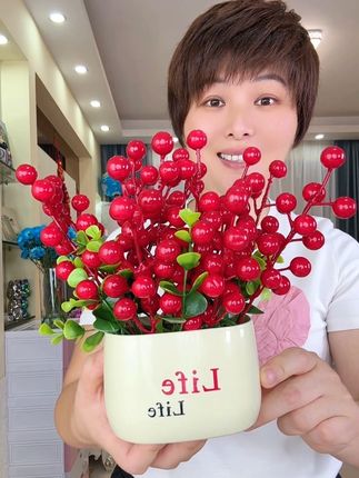 #发财果摆件#红发果摆件#红红火火#寓意美好#超便宜超划算