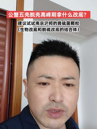 河蟹五壳的高峰期拿什么改底? #粪硫菌#养蟹人#水产人#养虾人#分享养殖经验传播正能量