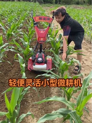 #果园大棚管理旋耕机 #大棚果园管理机 #多功能四驱微耕机 #果园开沟机 #除草机