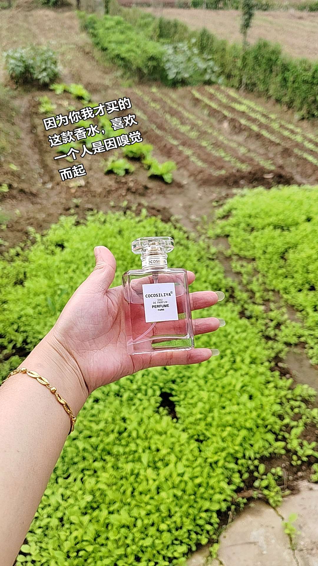 因为你我才买的这款香水,喜欢一个人是因嗅觉而起#香水