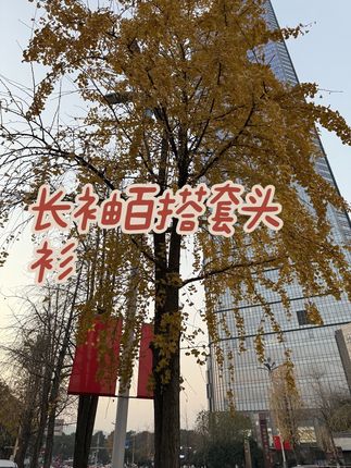 #毛衣 #显瘦显高显气质 #秋季穿搭 #时髦精的ootd #时尚搭配