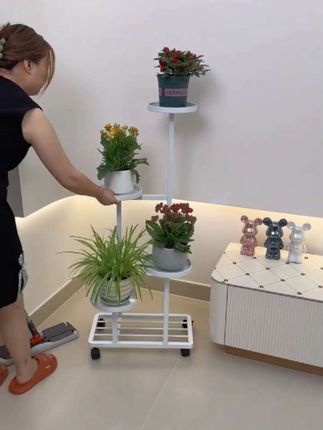 多层花架,小巧型,摆放起来效果不错哦#花架 @DOU+小助手