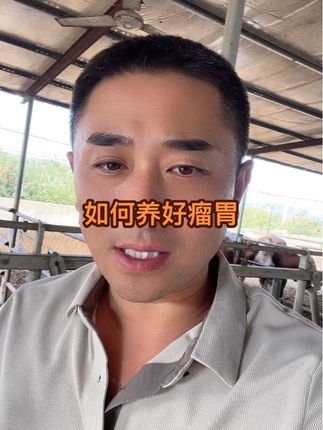 养牛如何养好瘤胃,益健宝双节福利#养牛人