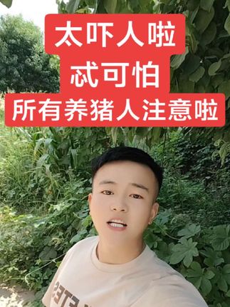 #板青福利#养猪技术#猪价行情
