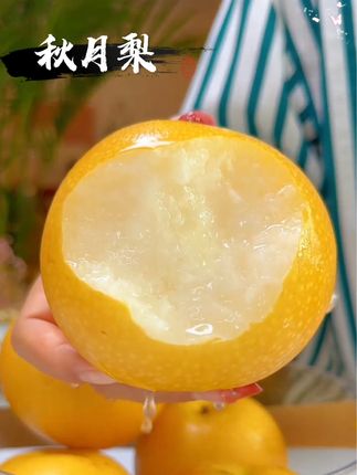 山东莱阳头茬秋月梨来啦,个大爆汁,细腻无渣#秋月梨#新鲜采摘 #强烈推荐 #快来一起尝个鲜 #优质农产品