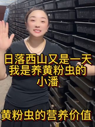 黄粉虫活体面包虫活体蝎子画眉鹦鹉鱼石蛙龙鱼八哥仓鼠宠物饲料#黄粉虫#宠物饲料#好物推荐🔥