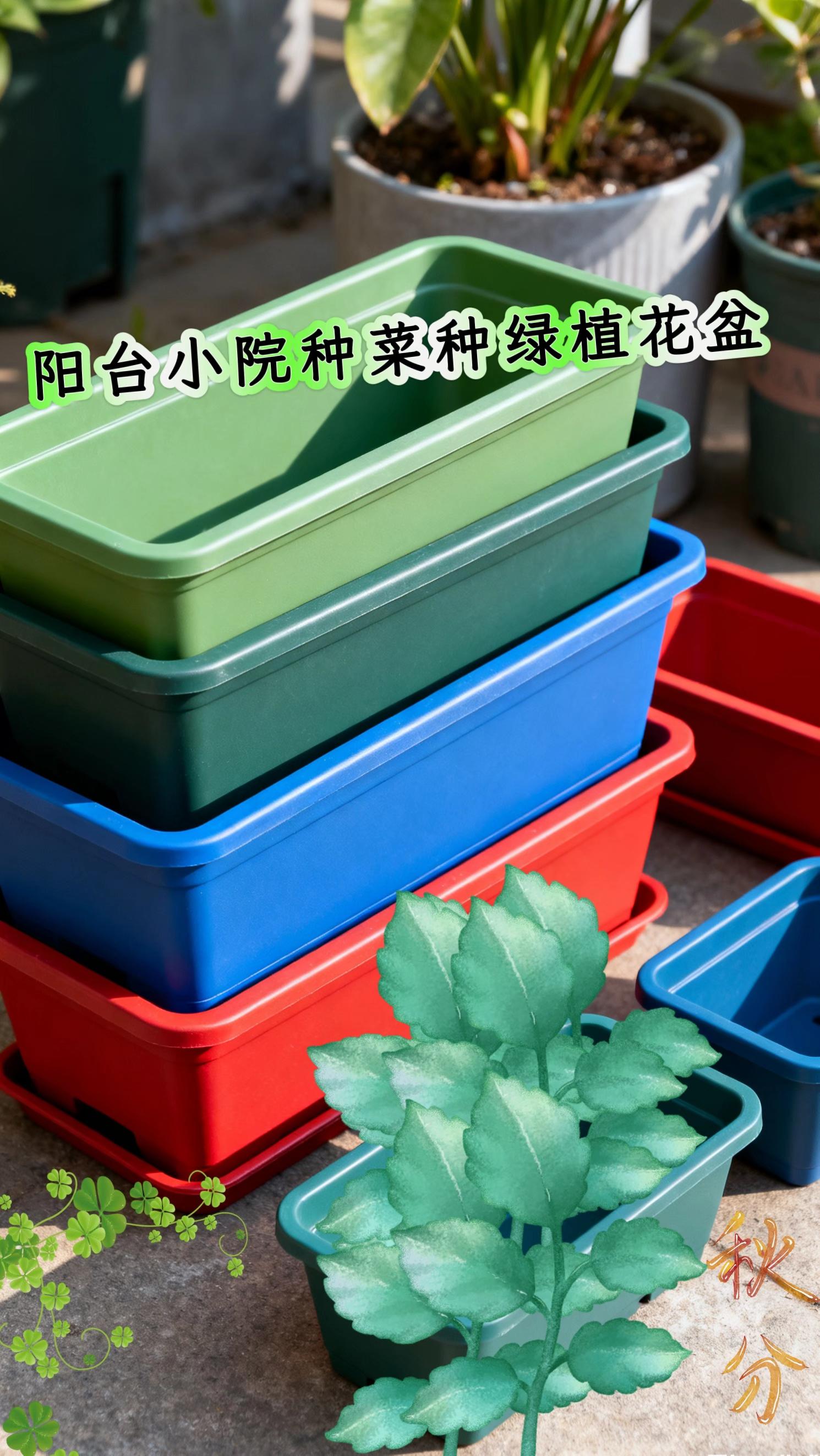 阳台小院种菜种花长条盆。万物皆可种的盆子,带托盘 透气性好!#阳台种植 #种菜种花 #家庭种植 #园艺好物 #好物推荐 @DOU+小助手 @抖加🔥上热门🔥dou+🔥热点宝