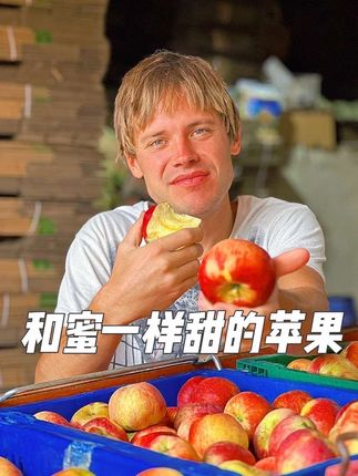 云南海拔三千米多小苹果开始采摘啦 高原小苹果,藏着蜜与光 云南三千米高原上的“不打药小苹果”,是自然馈赠的甜。个头不及普通苹果壮实,表皮还带着日晒的淡淡纹路,却藏着最浓郁的滋味。 这里的阳光慷慨,昼夜温差把糖分细细酿进果肉,咬开时脆感先跳出来,接着是化不开的蜜甜在舌尖散开,没有一丝酸涩。不打农药的安心,让果皮都能放心啃食,带着淡淡的果木香。 每一颗都小巧饱满,是高原的风与光养出的本真味道,吃进嘴里,满是自然的清甜与踏实。#有机苹果 #生态苹果 #孕妇水果 #宝宝水果 #云南苹果