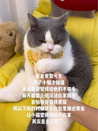 养了小猫才知道,爱就是常觉亏欠!#抖音萌宠出道计划 #鳕鱼冻干 #这也太萌太可爱了吧 #爱是常觉亏欠 #吸猫