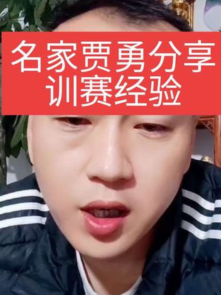 名家贾勇分享训赛经验#赛鸽知识分享#赛鸽用品