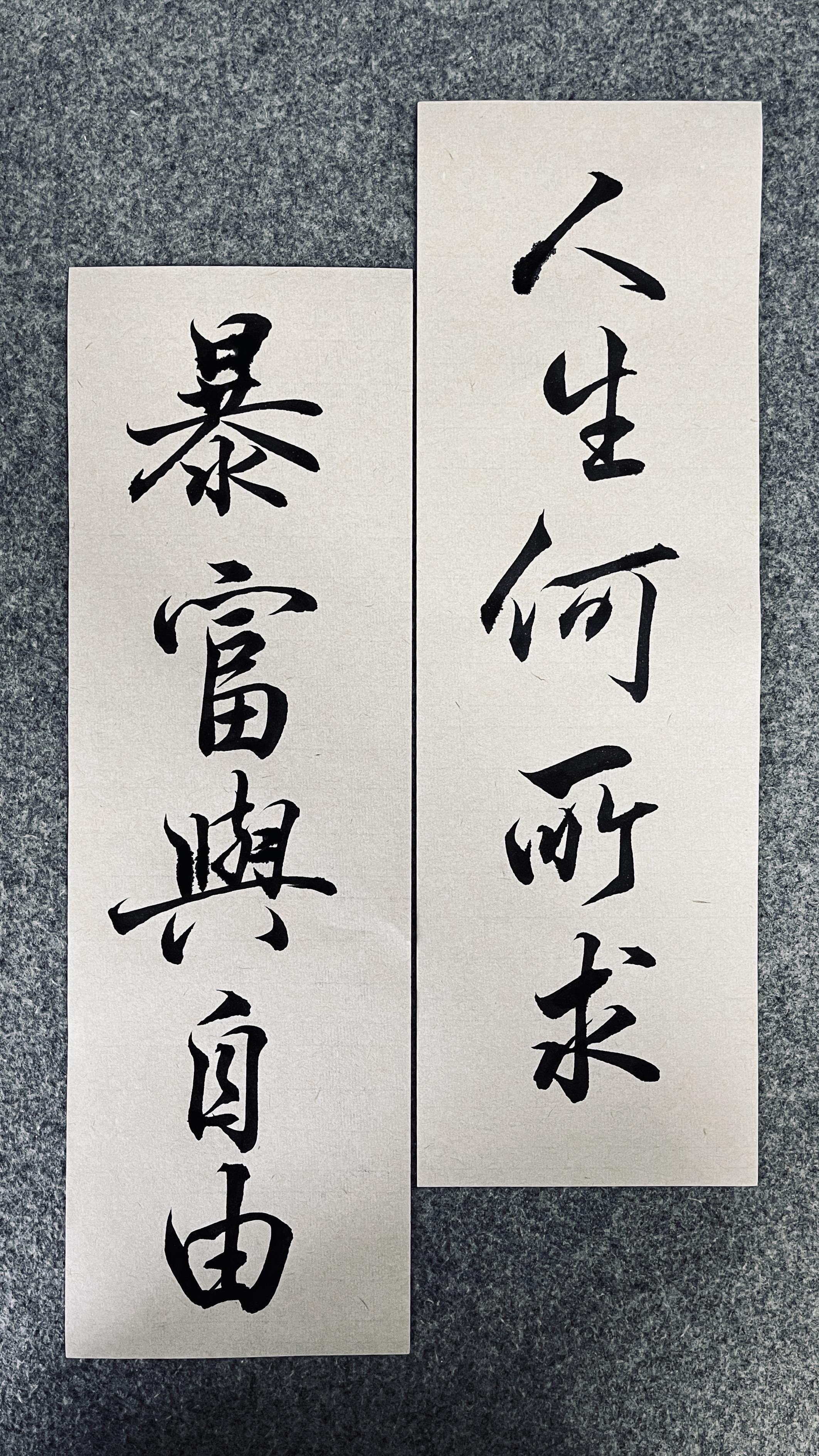 人生何所求 暴富与自由。#创作者扶持计划 #正能量 #传统文化 #抖音热门书法 #写字是一种生活