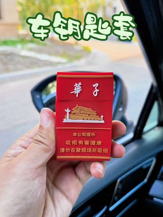 往桌子上一放,排面拉满的车钥匙套,硅胶全包,防摔耐磨,还不影响钥匙信号#汽车钥匙保护套 #汽车钥匙套