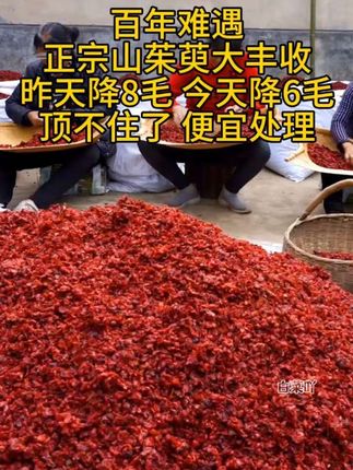 #山茱萸#优质农产品#超便宜超划算