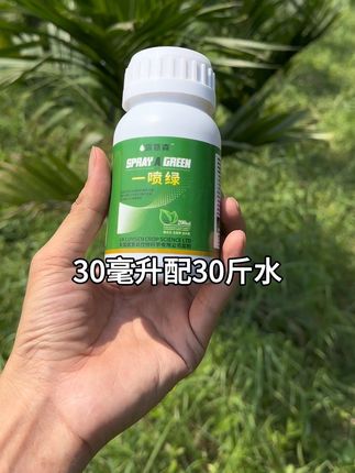 叶片厚绿厚绿#三农 #农业种植 #农业技术推广