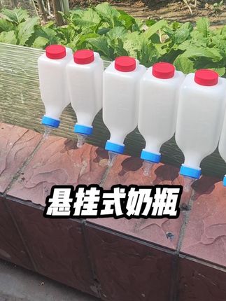 悬挂式奶嘴,彻底解放双手#悬挂奶瓶 #养殖 #养羊
