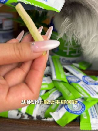 他家的猫草棒一直是我家主子的最爱#猫咪 #猫草棒 #小壳