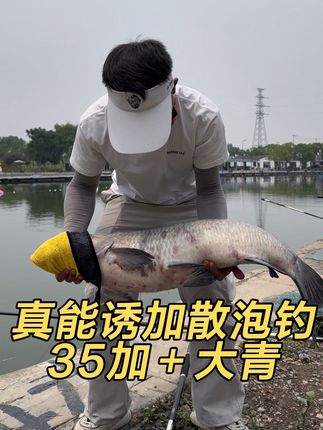 钓大个体鱼就用“真能诱”散泡 玉米 颗粒 花生 螺丝 蚕豆都能用#垂钓 #钓大鱼 #抖音垂钓季 #钓鱼技巧 #巨物