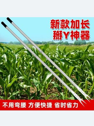 新款掰#打玉米丫子神器 农用掰苞米丫#除苗打叉器 红薯掐腕专用工具免弯腰#农具#种植小技巧#超便宜超划算