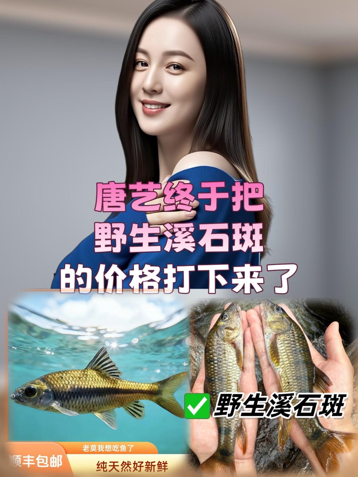 家人们,唐艺细说野生溪石斑啦!现在市面上的溪石斑,猫腻可不少。有些不良商家为降低成本,用养殖鱼、劣质鱼冒充,这些鱼不仅口感差,还可能不新鲜、有土腥味。售卖时,他们为了让溪石斑看起来更诱人,会用不明药剂浸泡,吃了心里膈应。 唐艺精心挑选,带来品质绝佳的野生溪石斑。原料来自山清水秀的天然溪流,都是人工手钓的优质野鱼。采用现捕现发工艺,不添加任何违规处理,保留了溪石斑原本的鲜爽和紧实肉质。每一口都鲜香入味,无论是香煎下酒、油炸酥脆,还是炖汤滋补都超合适。 别再被劣质溪石斑坑骗,相信唐艺,放心下单,品尝真正野生又美味的溪石斑,开启舌尖上的山野享受! #唐艺 #溪石斑 #美味鲜鱼 #健康食材#光唇鱼