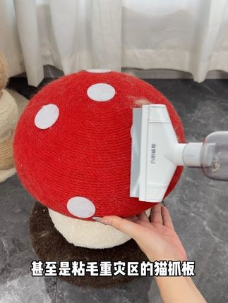 养猫家庭真的要备上这个无线除毛吸尘器 边刷边吸 省时省心省力#萌宠好物 #居家好物 #吸尘器 #好物分享 #养猫人
