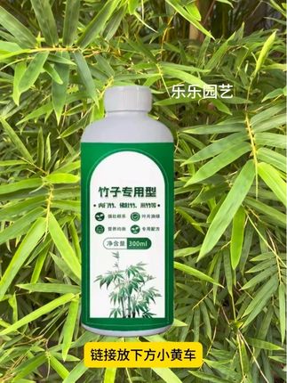 竹子的叶片黄叶枯叶皱叶该怎么办,如何养护,可以试试这一款竹子营养液#养花小知识 #花卉养护 #竹子 #竹子养护 #营养液