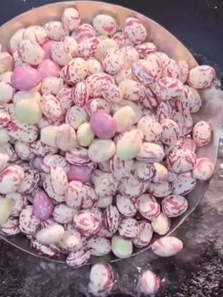 贵州特产雀蛋豆,又粉又面,用来烩豆米,炒菜,炖猪脚,煮火锅都特别好吃,太安逸了,有喜欢的老乡整点回去尝尝!#地方特色美食 #贵州美食#雀蛋豆 #妈呀太香了 #下饭菜