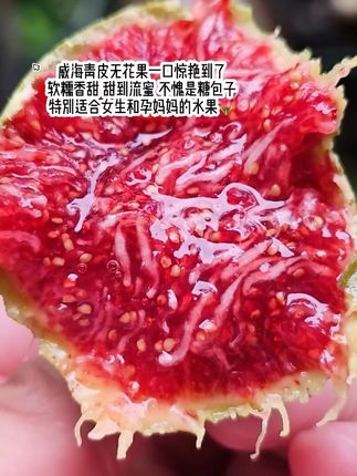 被艾特的人,要给你买秋天的第一箱无花果#无花果 #艾特你想艾特的人 #新鲜应季水果 #助力三农 #新农人计划